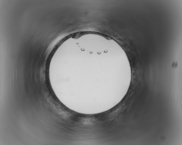 X0000110730200200907101436