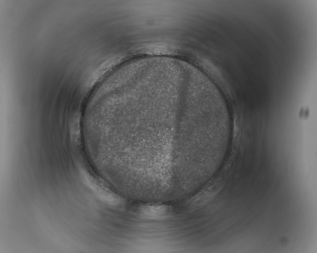 X0000110730202200907101436