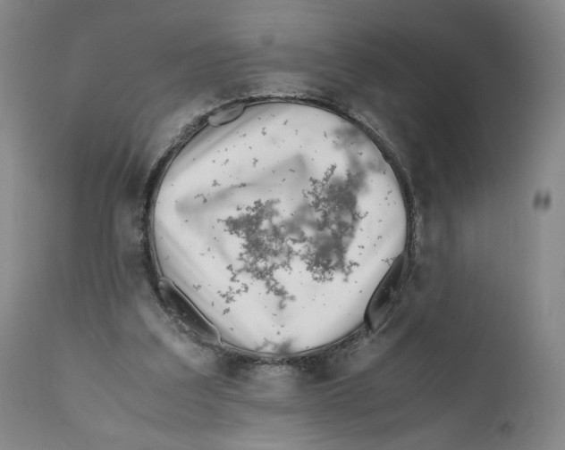 X0000110730203200907101436