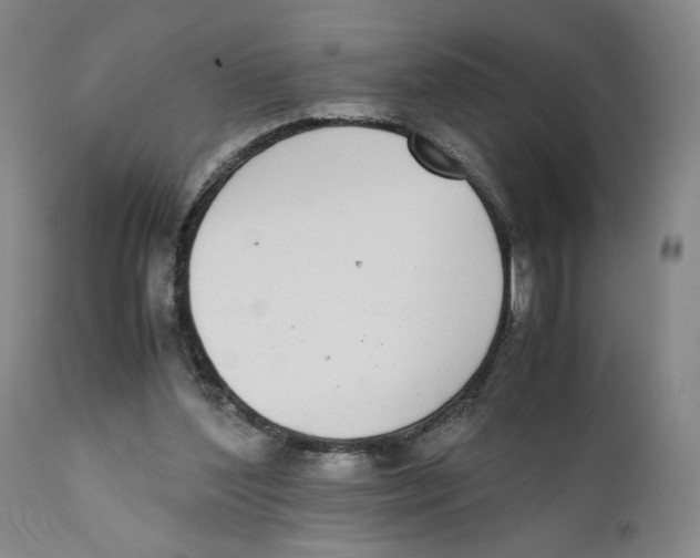 X0000110730204200907101436