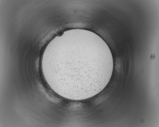 X0000110730206200907101436