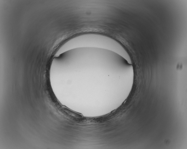X0000110730207200907101436