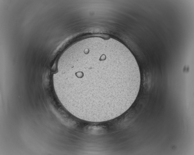 X0000110730208200907101436