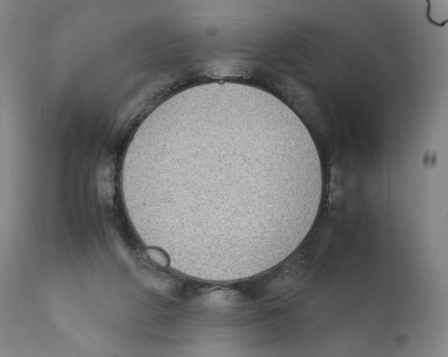 X0000110730210200907101436