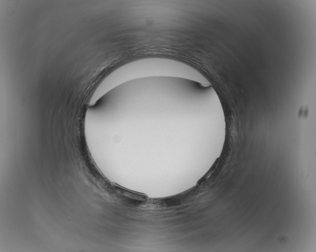 X0000110730211200907101436