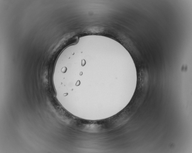X0000110730212200907101436