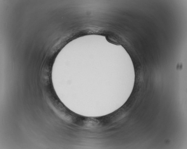 X0000110730215200907101436