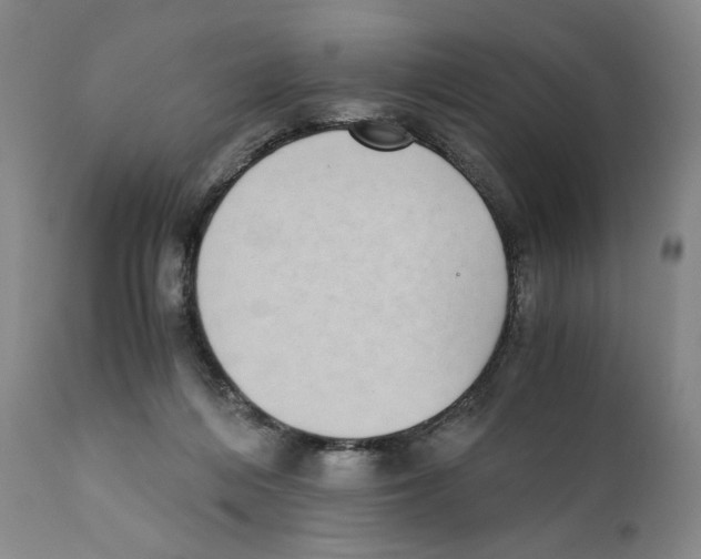 X0000110730216200907101436