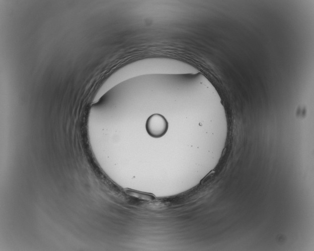 X0000110730217200907101436