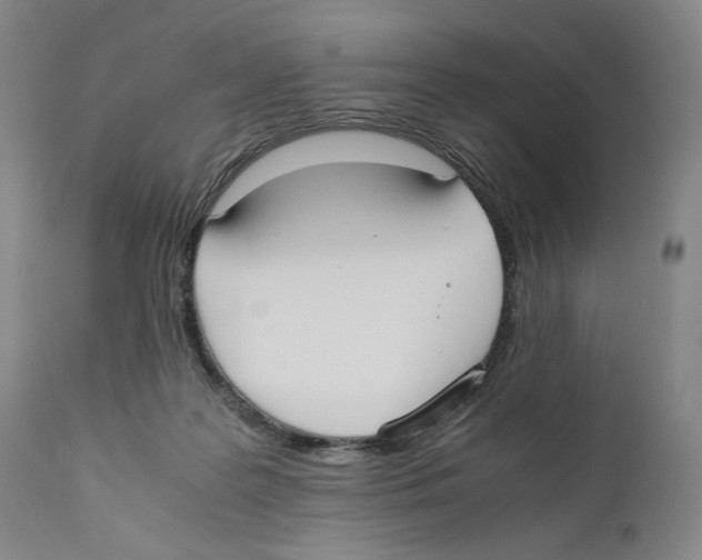 X0000110730219200907101436