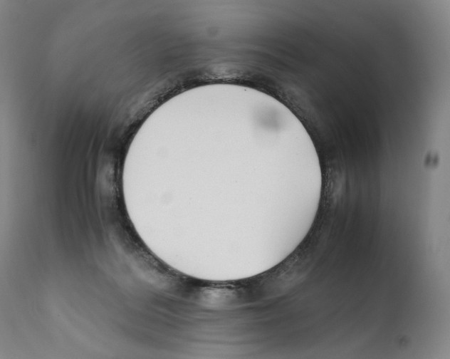 X0000110730220200907101436