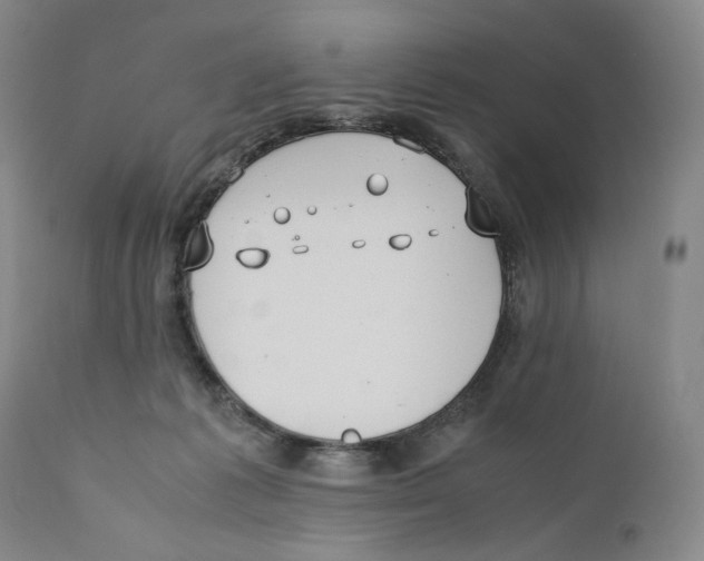 X0000110730221200907101436