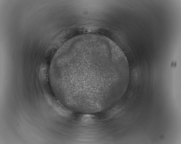 X0000110730222200907101436