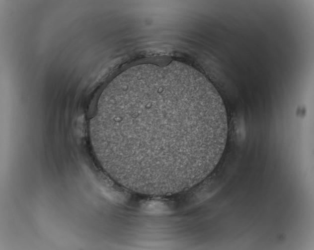X0000110730224200907101436