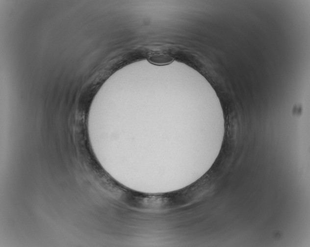 X0000110730225200907101436