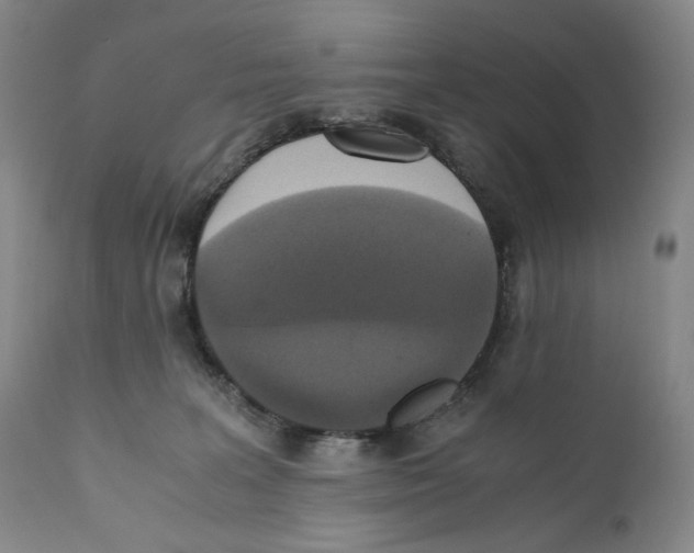 X0000110730227200907101436