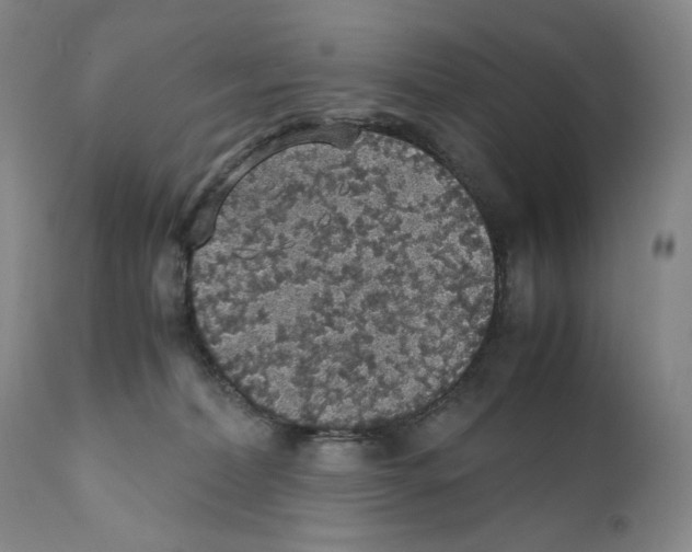 X0000110730228200907101436