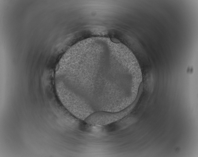 X0000110730229200907101436
