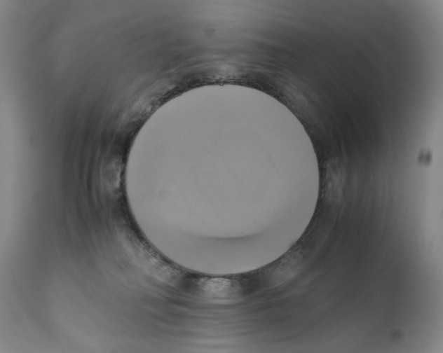 X0000110730230200907101436