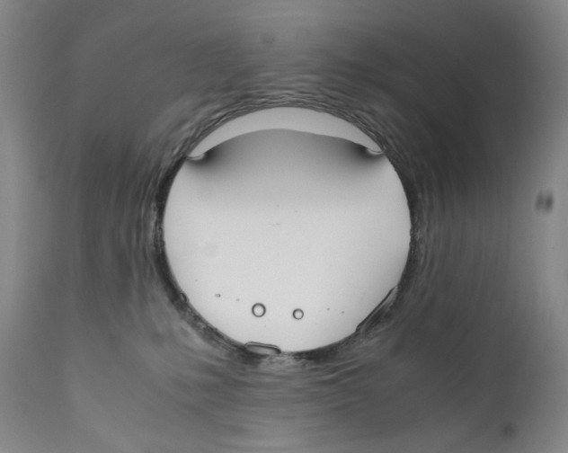 X0000110730231200907101436