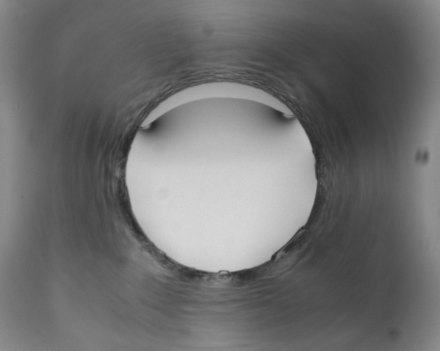 X0000110730235200907101436
