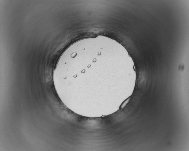 X0000110730236200907101436