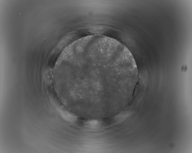 X0000110730237200907101436