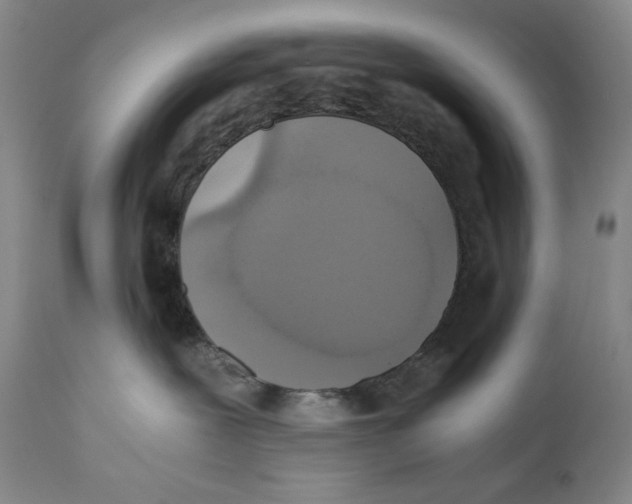 X0000110730239200907101436