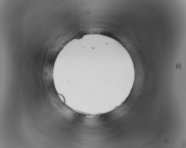 X0000110730240200907101436