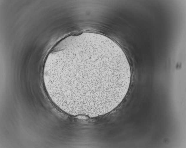 X0000110730241200907101435