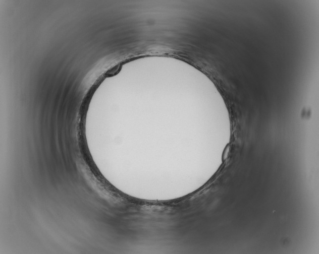 X0000110730242200907101435