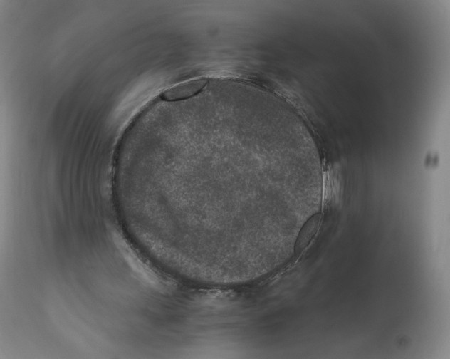 X0000110730243200907101435