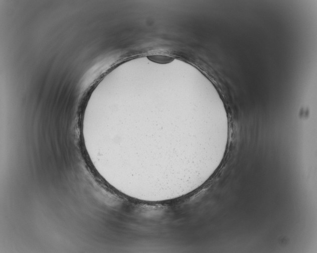 X0000110730245200907101435