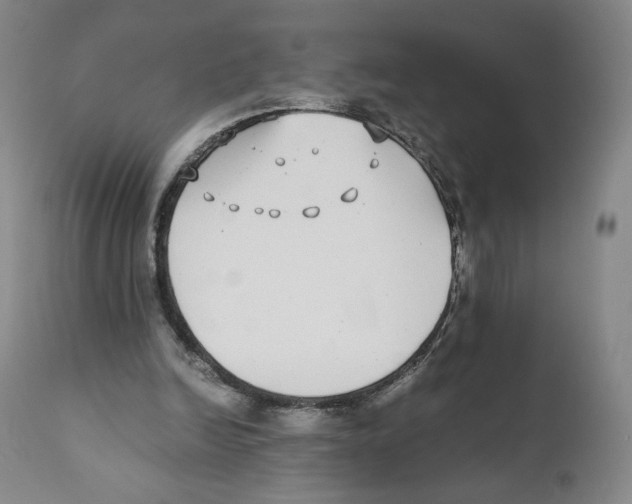 X0000110730246200907101435