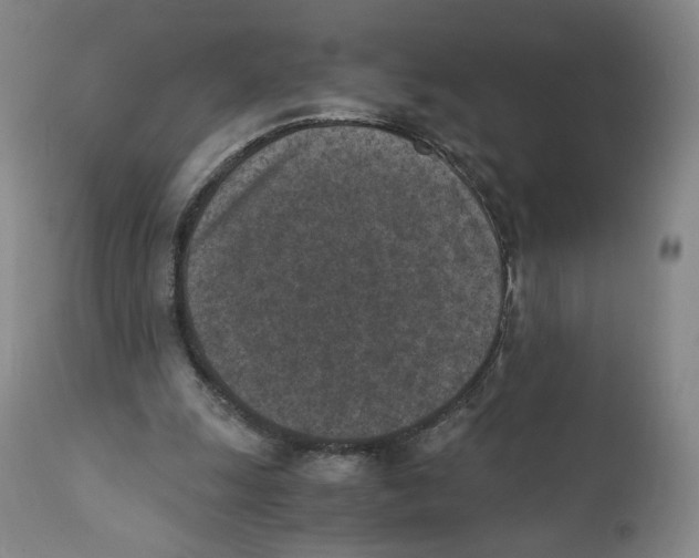 X0000110730247200907101435