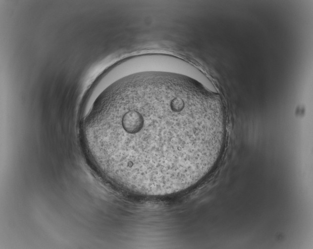 X0000110730248200907101435
