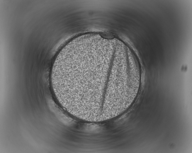 X0000110730249200907101435