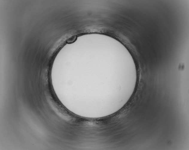X0000110730250200907101435