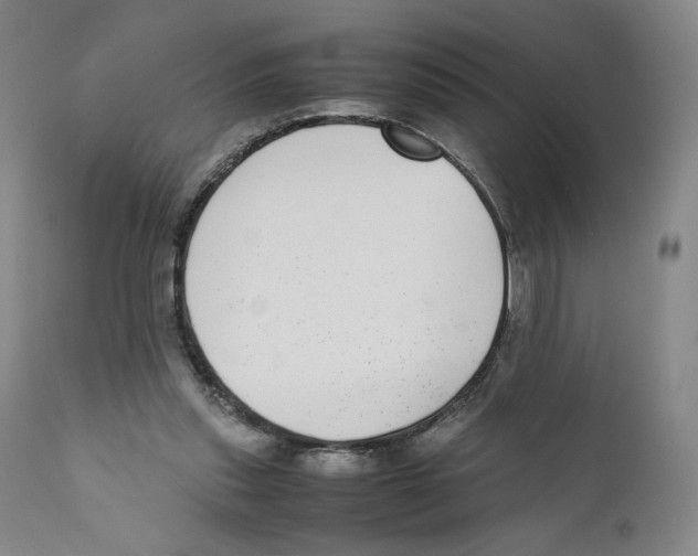 X0000110730253200907101435