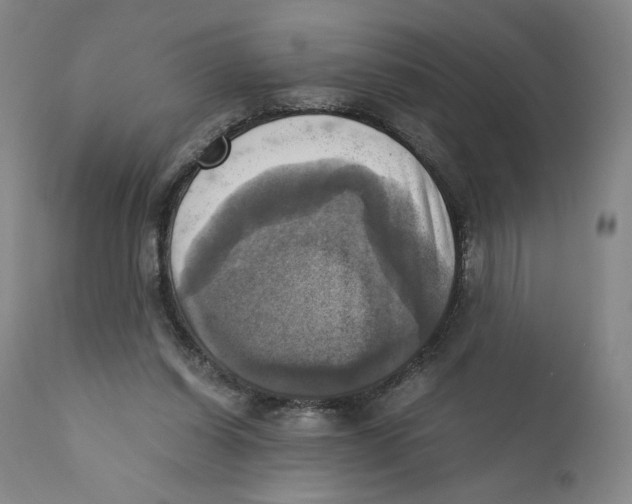 X0000110730254200907101435