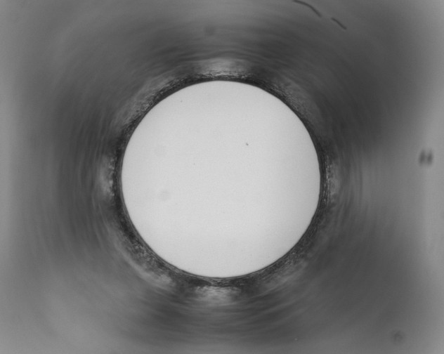 X0000110730255200907101435