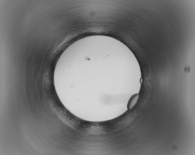X0000110730256200907101435