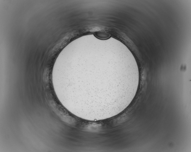 X0000110730257200907101435
