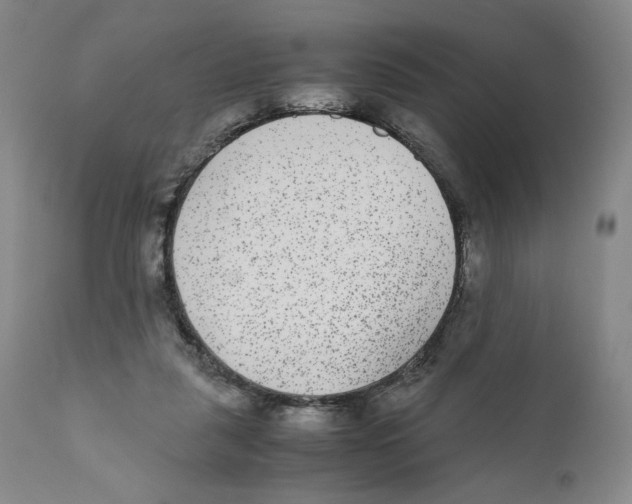 X0000110730259200907101435
