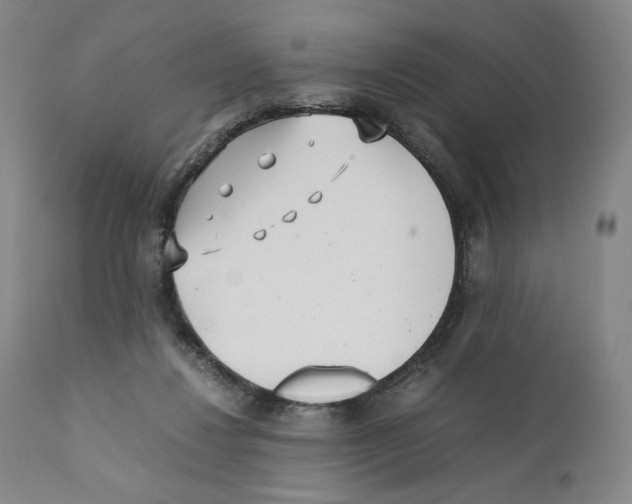 X0000110730260200907101435