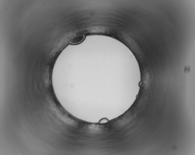 X0000110730261200907101435