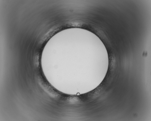 X0000110730262200907101435