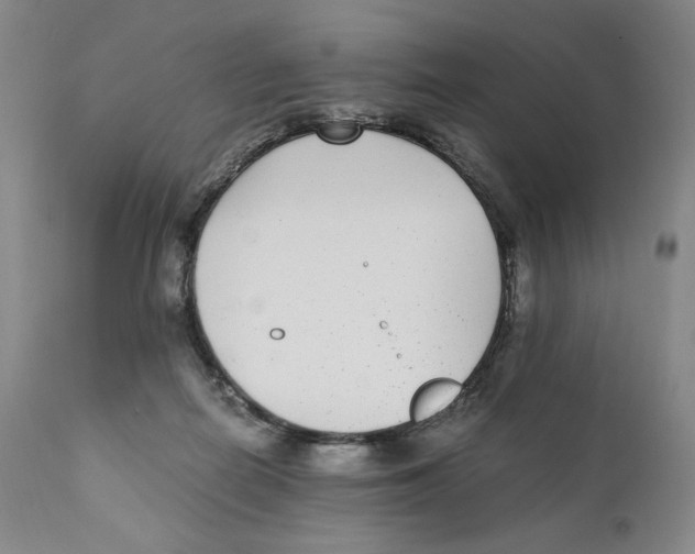 X0000110730266200907101435