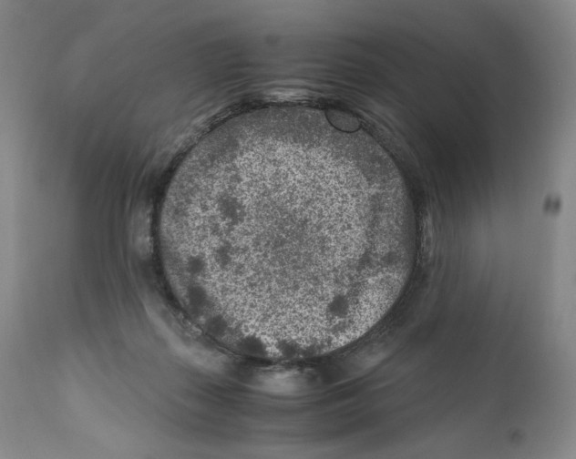 X0000110730267200907101435
