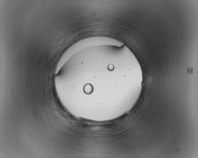 X0000110730268200907101435